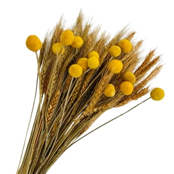 100 Adet Kurutulmuş Buğday Sapları Dekor ve 15 Sapları Sarı Billy Topları Düğmeler, sonbahar Güz yapay çiçekler Dekorasyon İçin