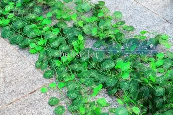 250 cm uzun yapay çiçekler asma yeşil yaprak sarmaşık Rattan ipek asılı asma sahte bitki yeşil garland Ev bar Parti dekorasyon